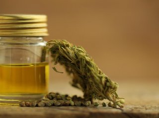 Making Medical Marijuana Oil
