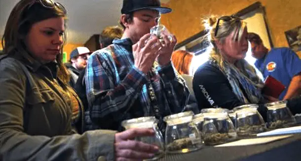 A Beginner’s Guide to Smoking Marijuana