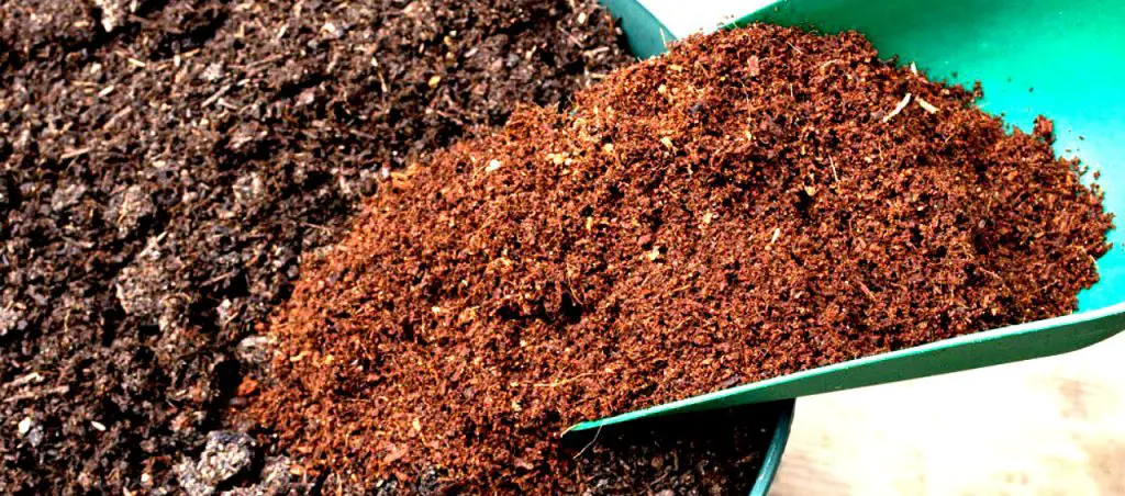 Coco coir mix with regular soil