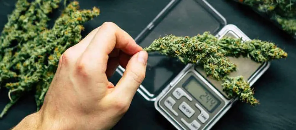 Weighing Scale for Weed