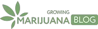 Growing Marijuana Blog