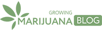 Growing Marijuana Blog