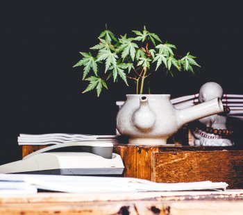 What Do You Need To Start Growing Marijuana Indoors