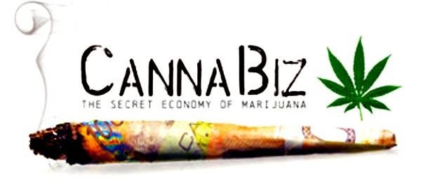 the economic benefits of legalizing marijuana the economic benefits of legalizing marijuana