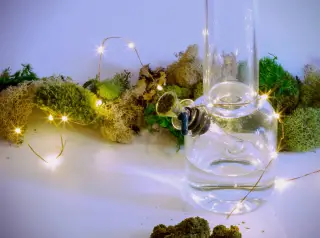 Different Kinds Of Bongs
