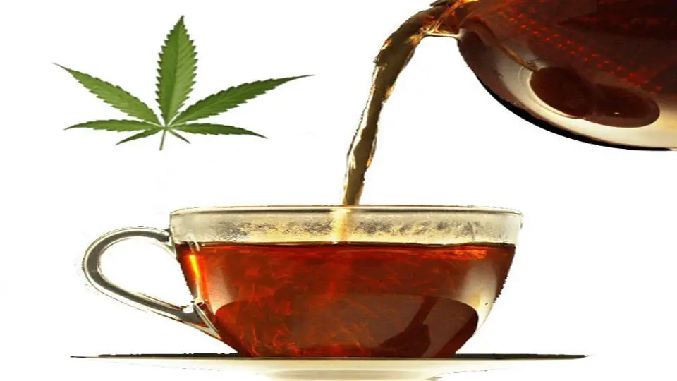 Cannabis Tea