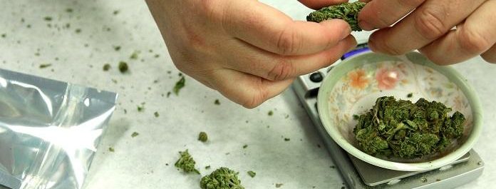 How To Find A Dealer >> How To Find A Good Marijuana Dealer Growing Marijuana Blog How To Find A Dealer >> How To Find A Good Marijuana Dealer Growing Marijuana Blog