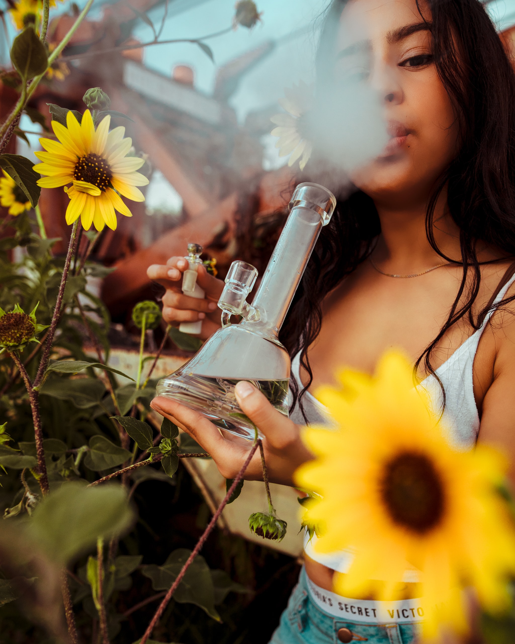 Young People Use Marijuana I Growing Marijuana Blog Young people use marijuana i growing marijuana blog