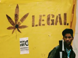 Marijuana Is It Legal