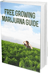 ebook