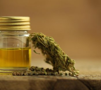 Making Medical Marijuana Oil