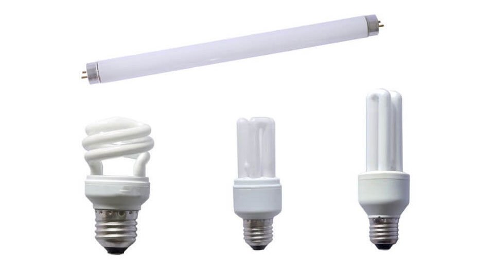 CFL Lights