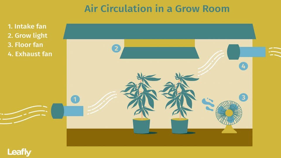 Cannabis Airflow Diagram from Leafly