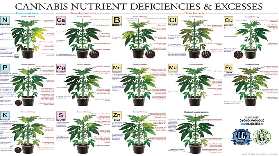 Cannabis Nutrient Chart