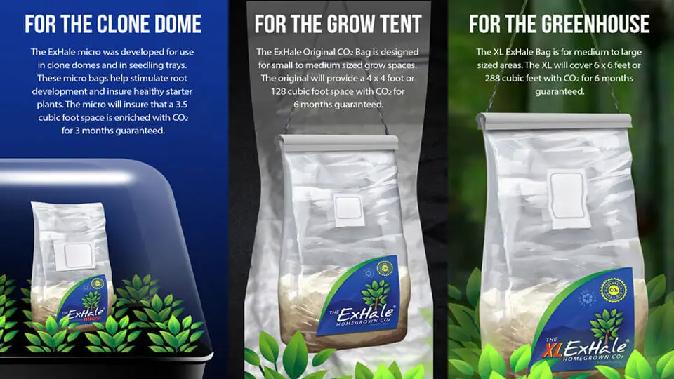 Exhale CO2 Bags