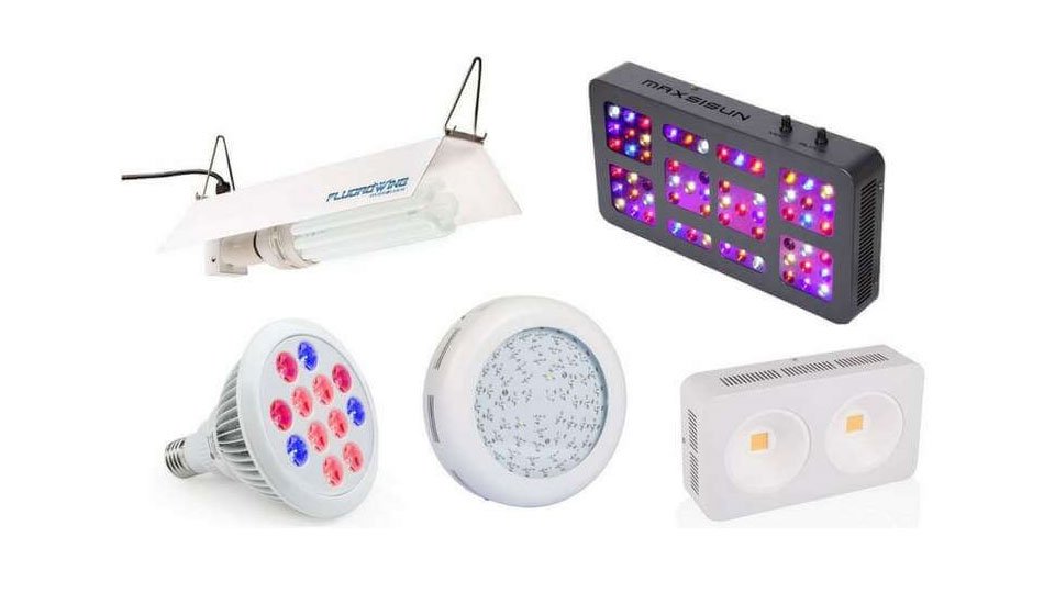 Grow Light Options for Beginners