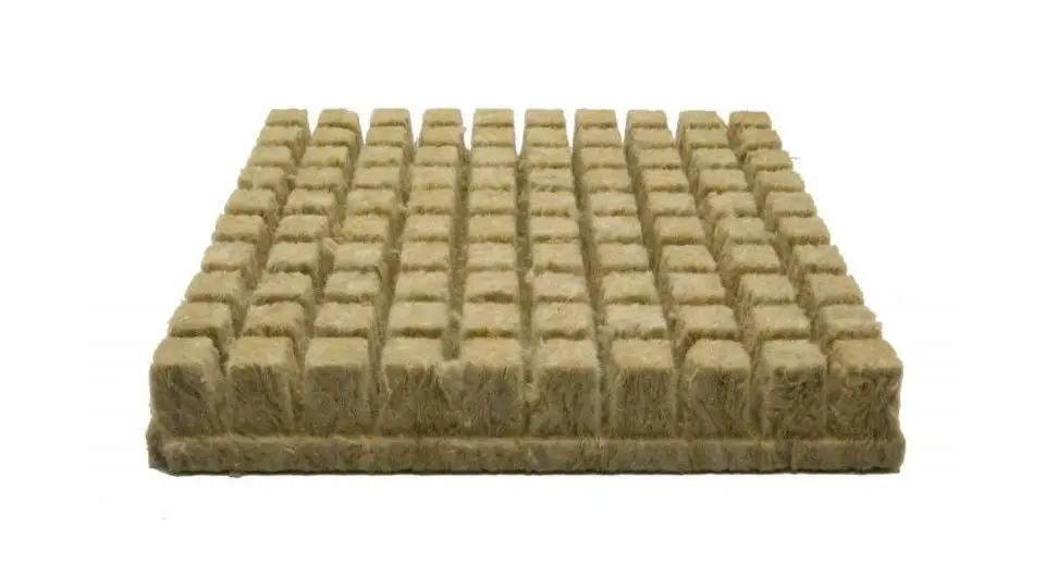 Rockwool cubes