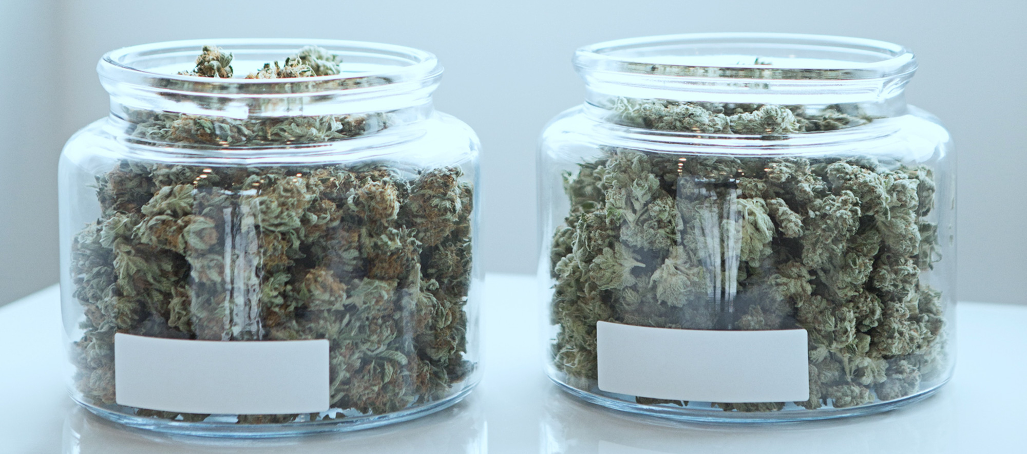 How To Weed Tips Storing Marijuana I Growing Marijuana Blog