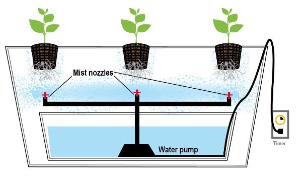 Aeroponics System Chart