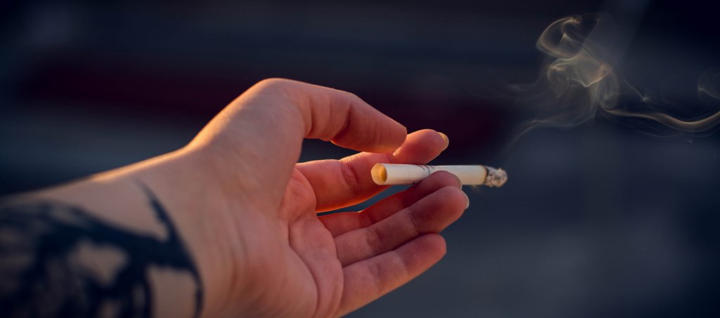 Cannabis cigar blunt