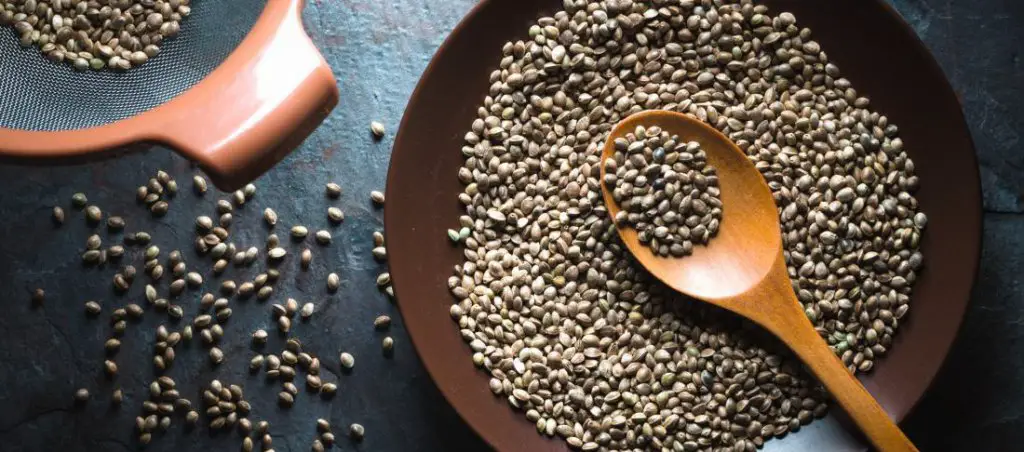 Hemp Seeds