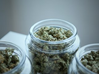 How To Cure Cannabis Properly To Ensure High-Quality
