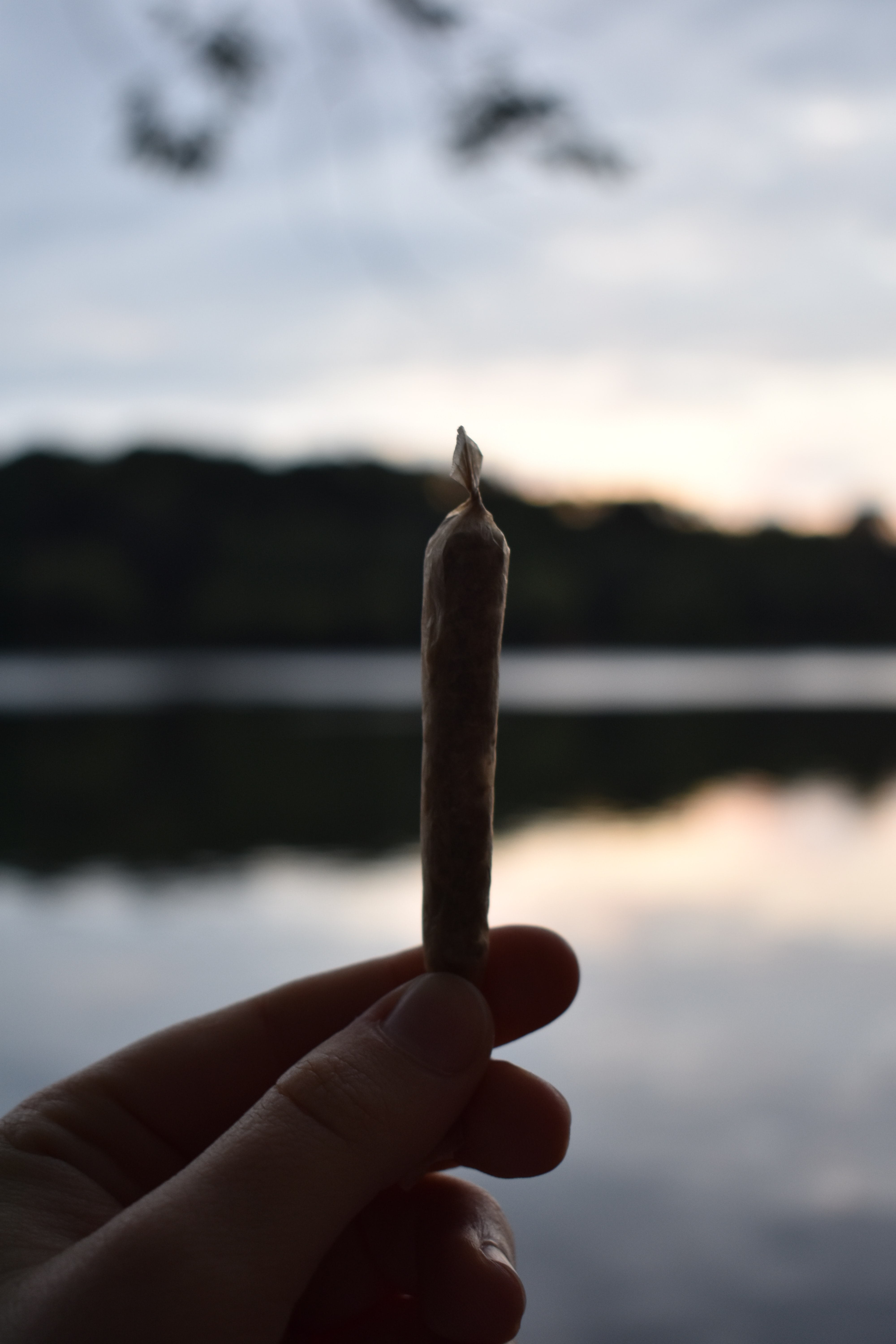 I Started Ripping My Blunt Wraps And Putting The Other Half Back In The Pouch. I Introduce, The Lil Uzi.: Trees How To – House Of Cannabis – Tacoma