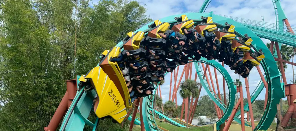 People riding roller coaster while high