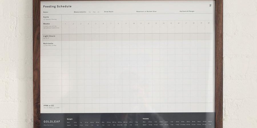 Feeding schedule