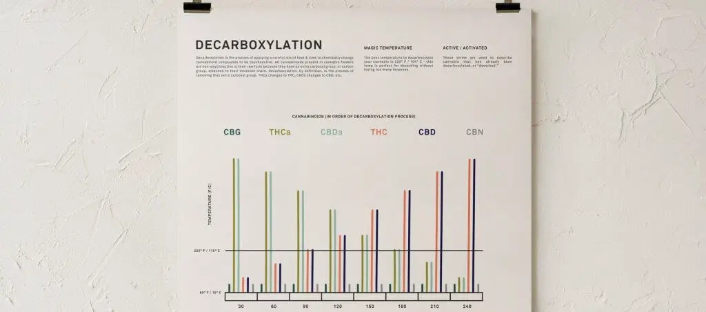 Infographic print