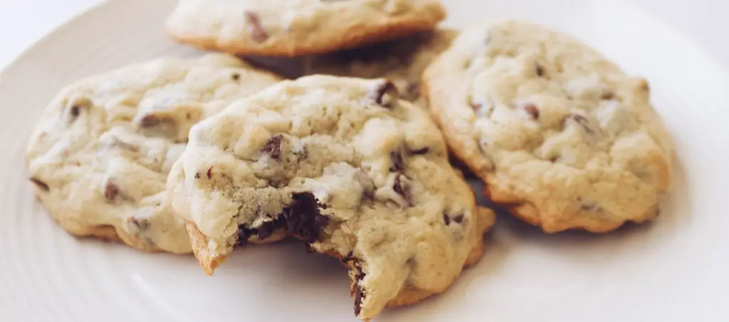 Chocolate Cannabis Cookie