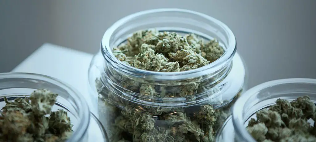 Glass jar Marijuana storage