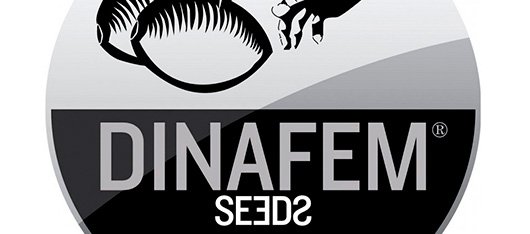 Dinafem Seeds