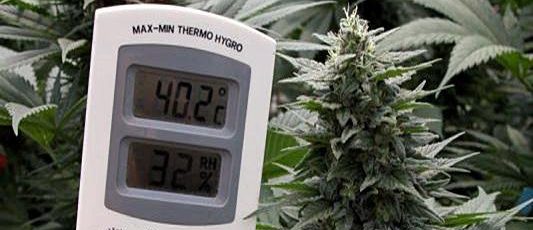 Grow Room Temperature