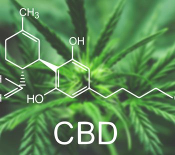 Marijuana CBD