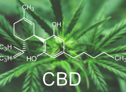 Marijuana CBD