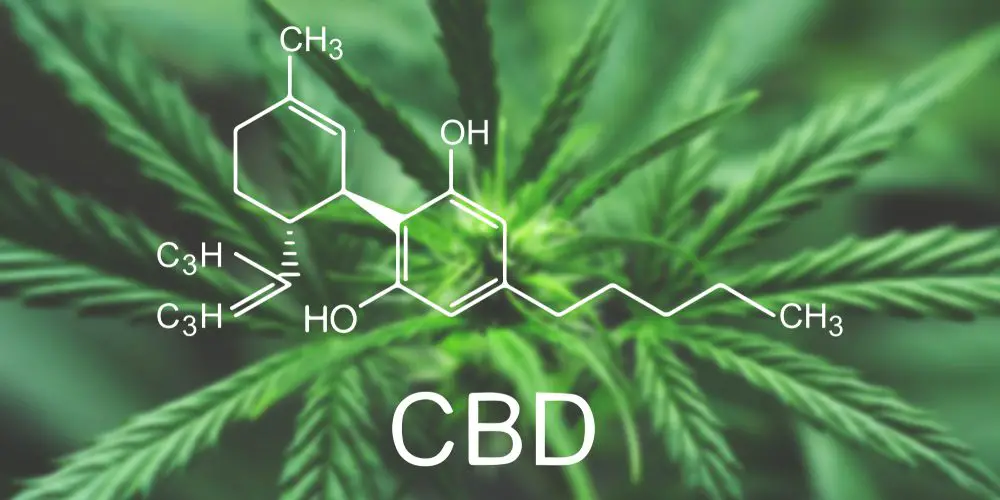 Marijuana CBD