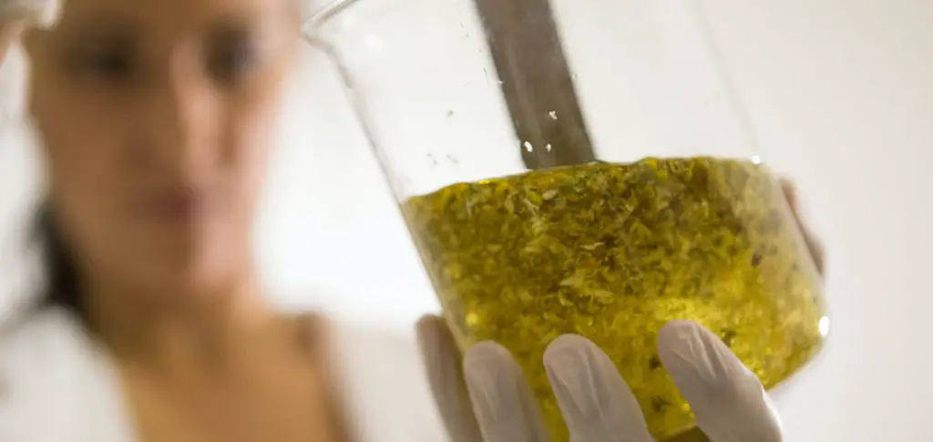 cannabis oil on a jar