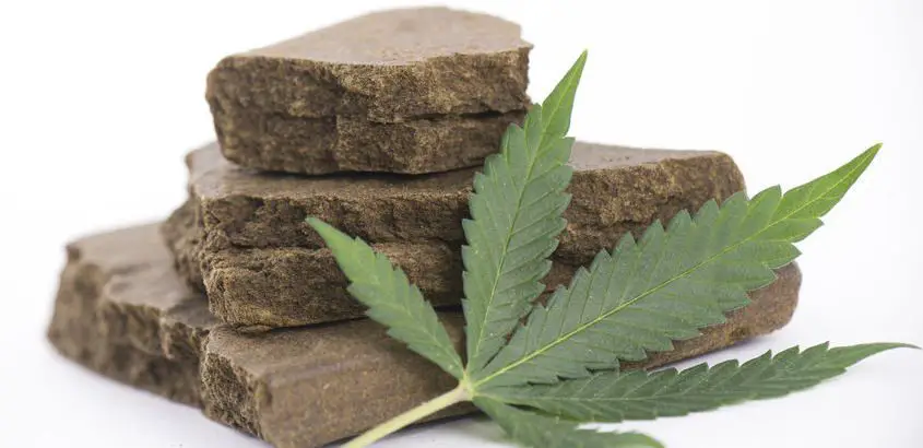 Marijuana hash and leaf