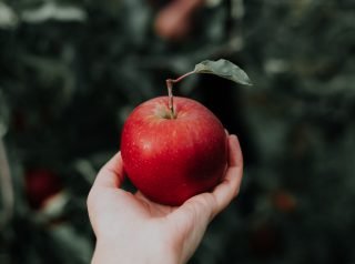 How to Smoke Weed with an Apple