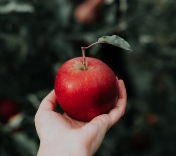 How to Smoke Weed with an Apple