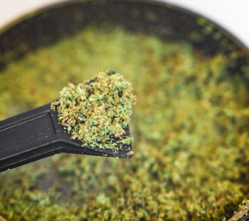 How to Smoke Kief Without Weed