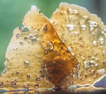 How to Smoke Shatter