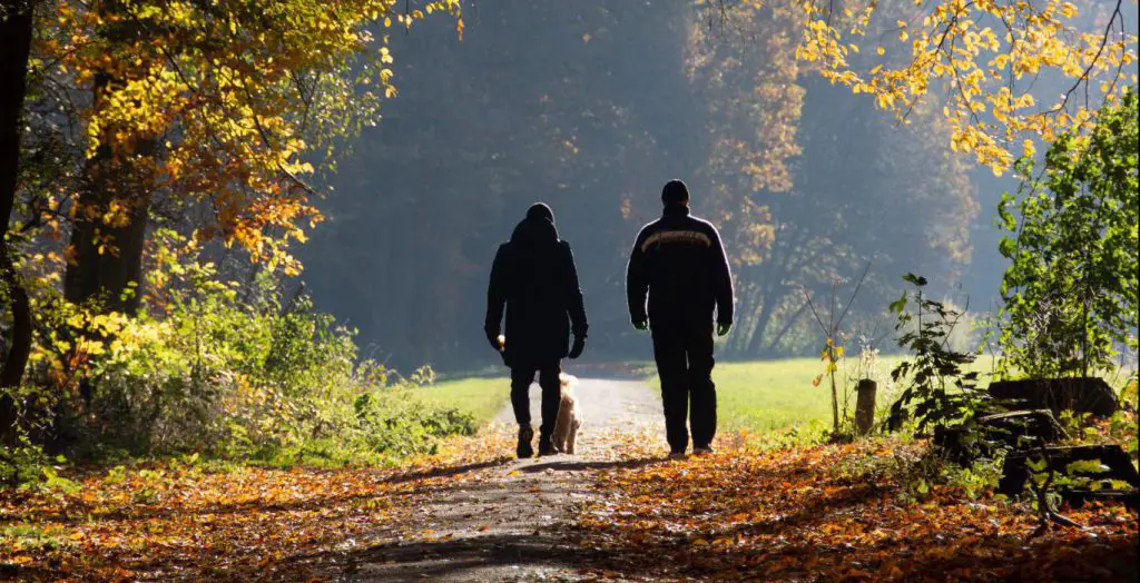 Two man walking to sober up