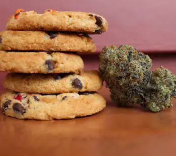 Cookie Edibles Marijuana