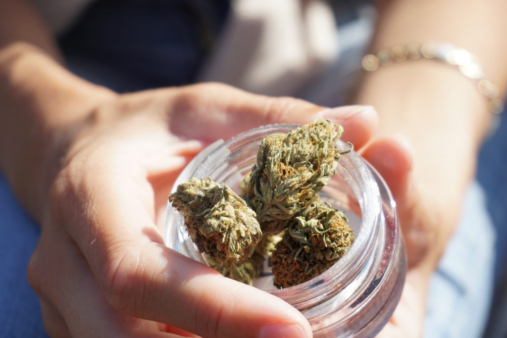 storing marijuana buds