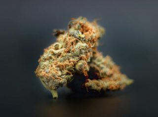 Marijuana Strains with black background