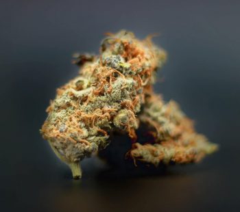 Marijuana Strains with black background