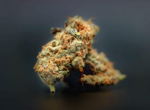 Marijuana Strains with black background