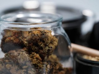 brown dried leaves in clear glass jar